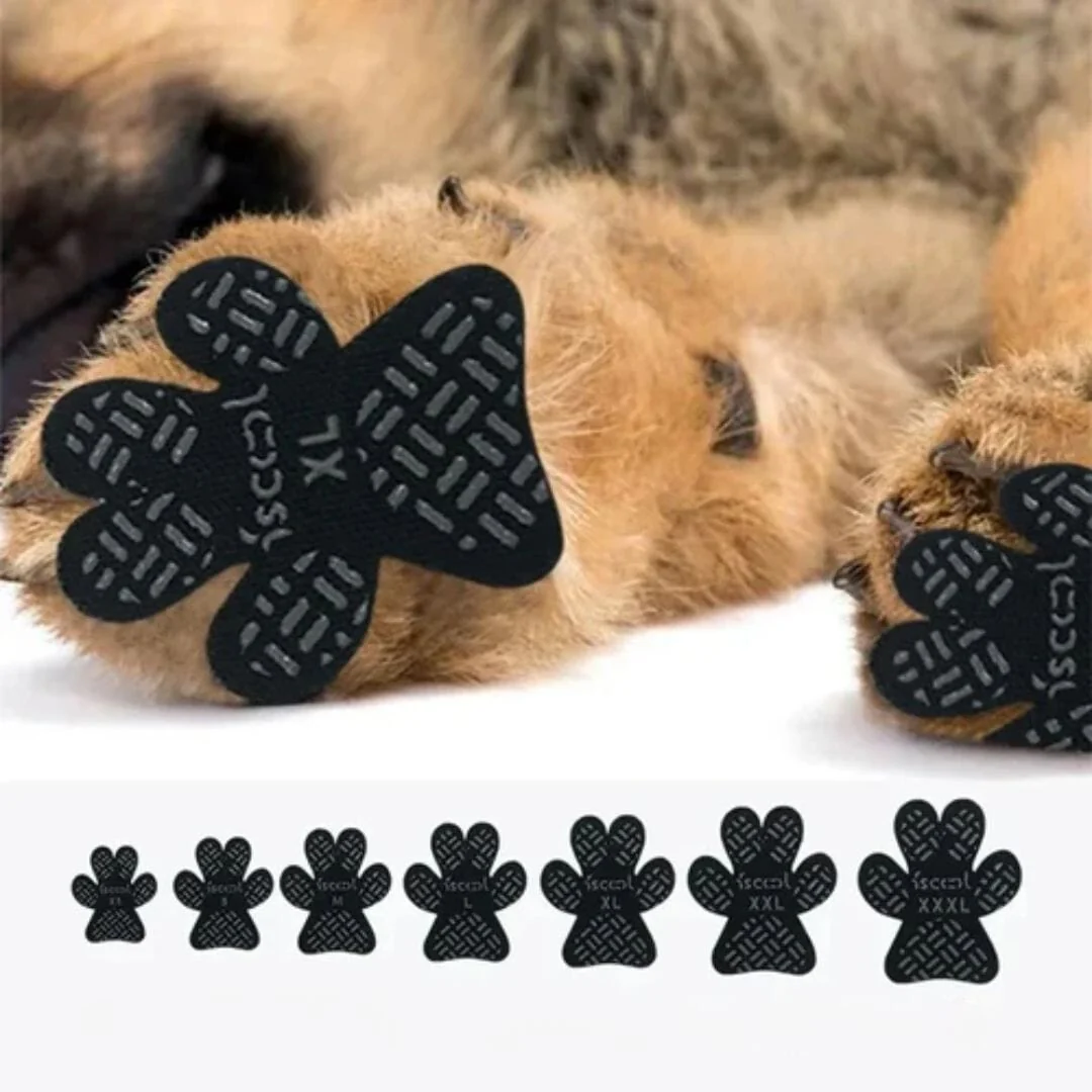 Thumbnail 10